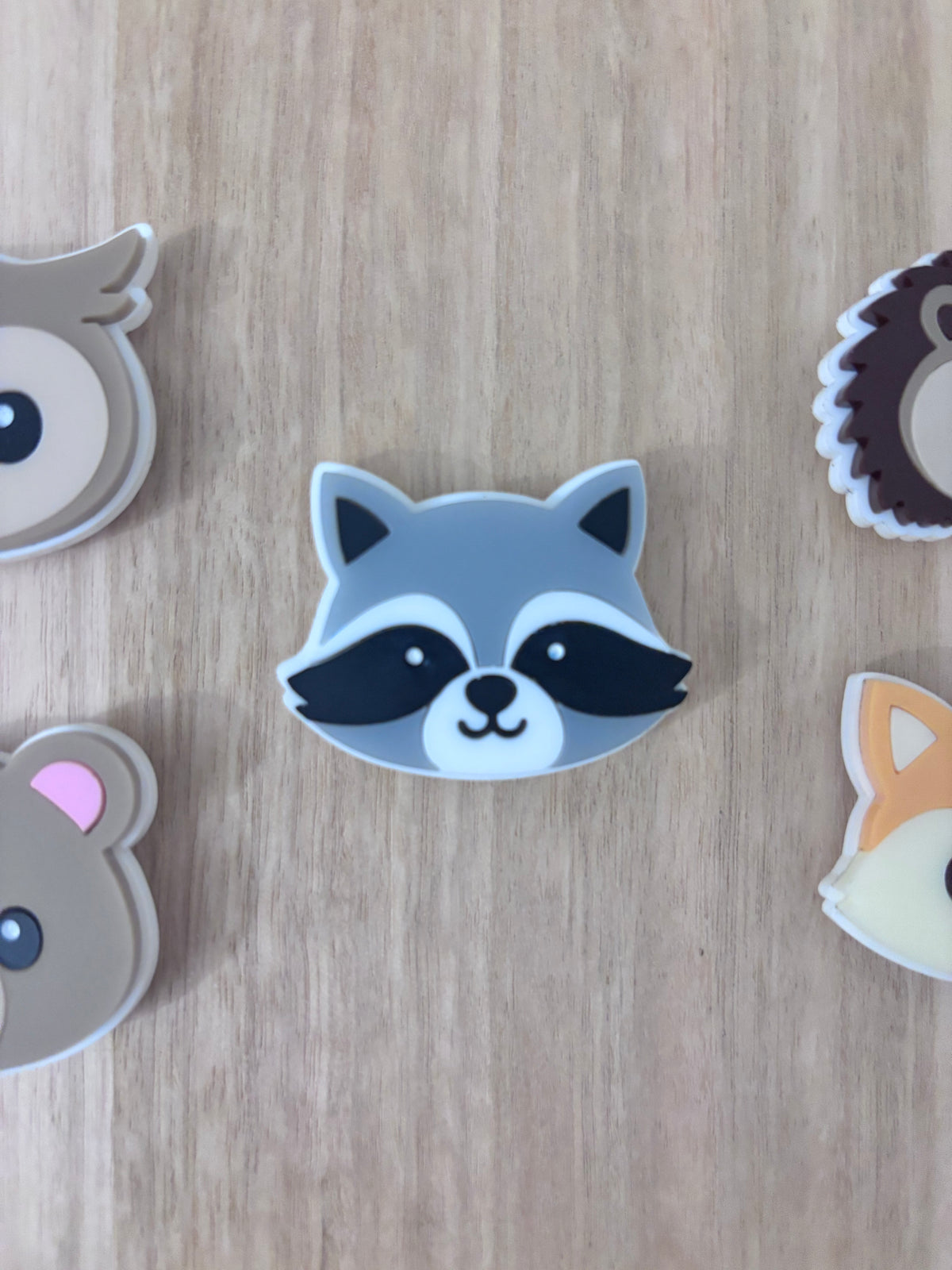 Woodland Racoon Charm